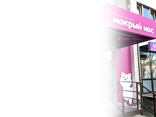 Помогаем в согласовании