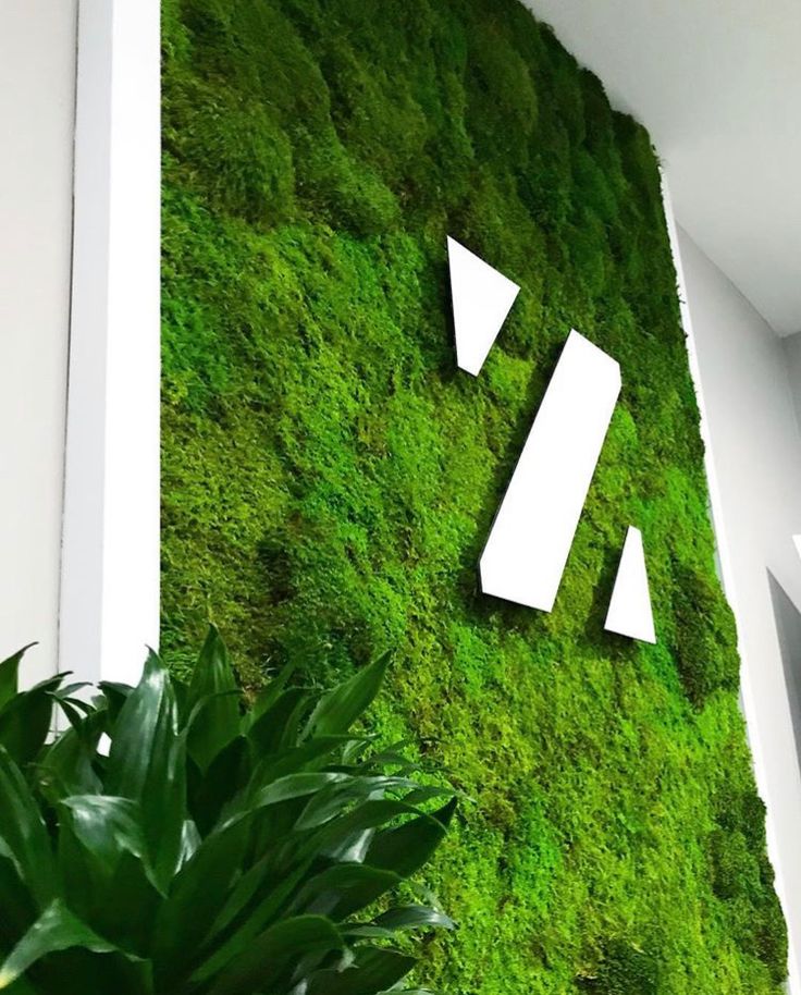 Размер композиции логотипа из мха